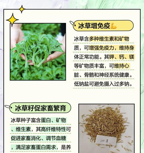 冰草通常生长在哪些环境中？