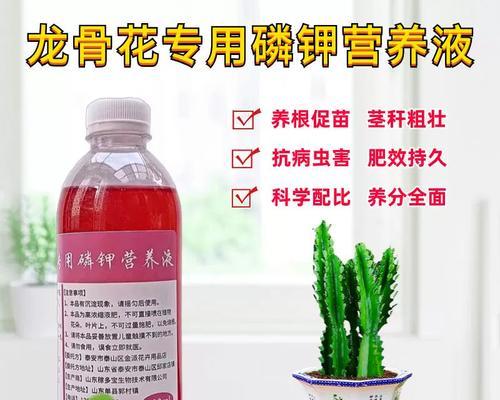 龙骨花施肥的正确方法是什么？