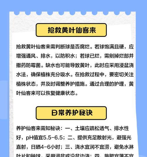 花卉叶子发黄的常见原因及解决办法是什么？