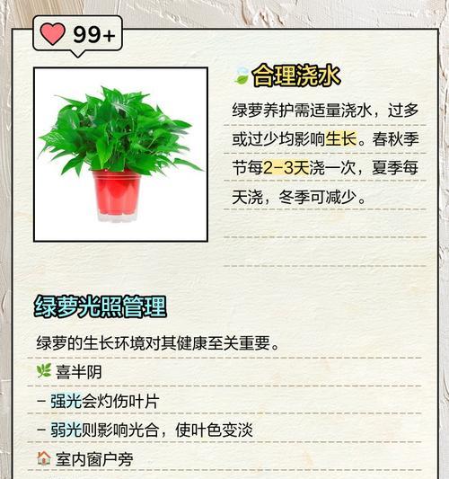 水养绿萝叶子发黄怎么办？可能的原因和解决方法是什么？