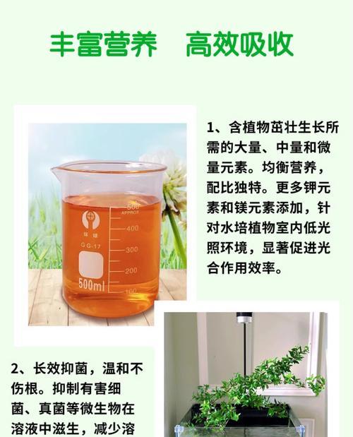 自制植物营养液的方法有哪些？