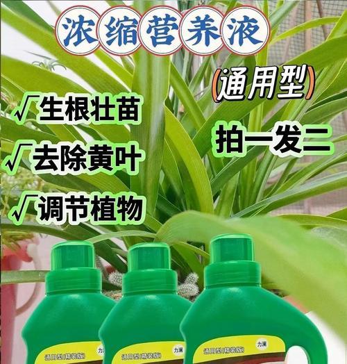 自制植物营养液的方法有哪些？