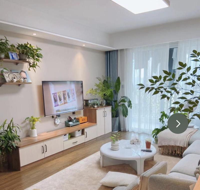 什么的花最适合作为室内装饰？有哪些推荐？