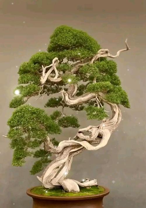 红梅盆景的养护要点是什么？如何打造完美的红梅盆景？