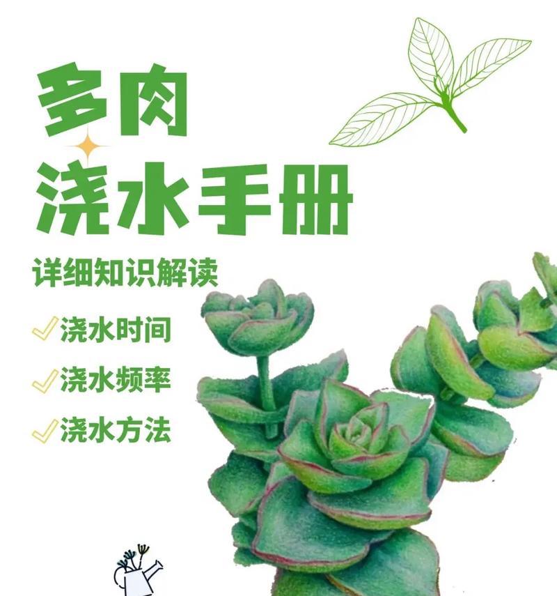 冬季植物浇水的技巧有哪些？