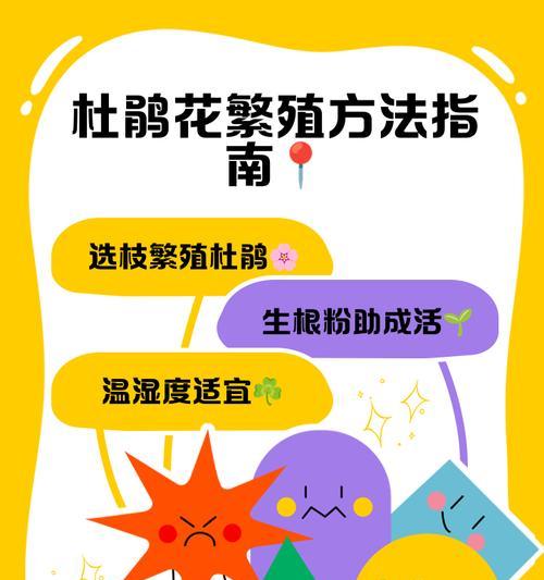 杜鹃扦插的正确方法和注意事项是什么？