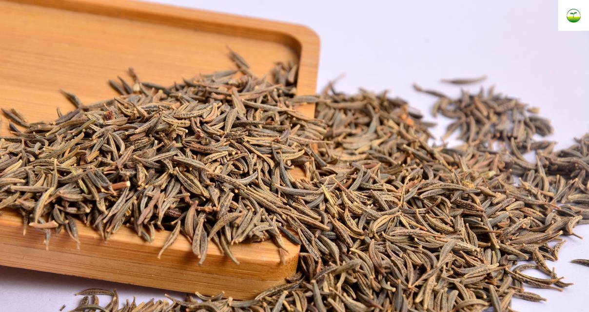 波斯菊种子的外观特征是什么？