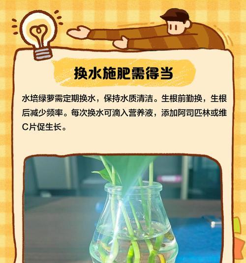 绿箩快速生长秘诀是什么？怎样才能养得更茂盛？