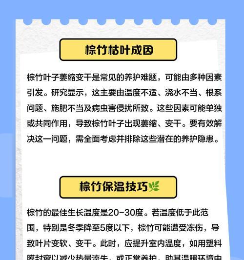 棕竹发黄的原因是什么？如何处理棕竹发黄问题？