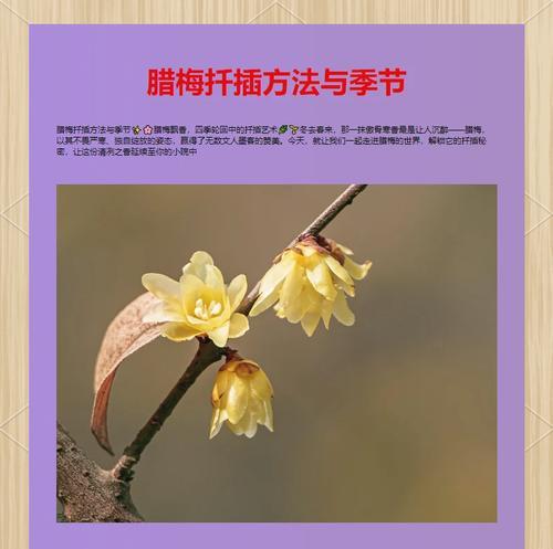 腊梅修剪的最佳时机是什么时候？如何修剪腊梅？