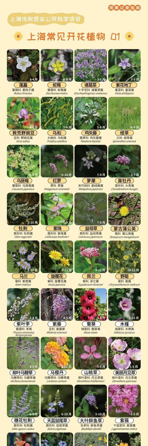 春天有哪些植物开始开花？如何在春天打理这些植物？