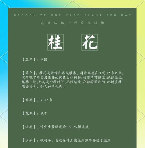 桂花树施肥的最佳时间和方法是什么？