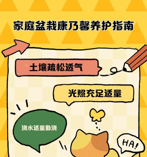 种植康乃馨应该选择哪种土壤？