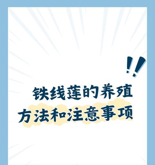 铁线莲种植的步骤是什么？铁线莲种植需要注意什么？