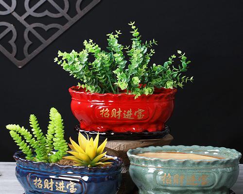 发财树配什么花盆可以更好地生长？
