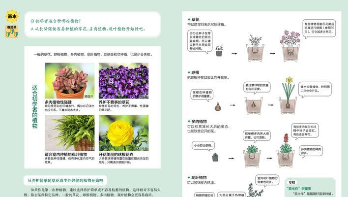 养花新手入门指南是什么？