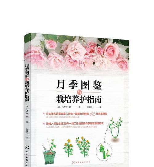 养花新手入门指南是什么？