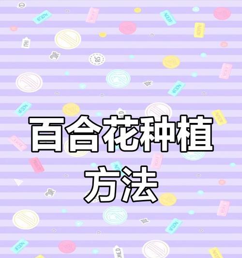 怎么样种植百合？初学者指南是什么？