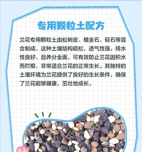 兰花种植需要什么土壤？如何为兰花选择合适的土壤？