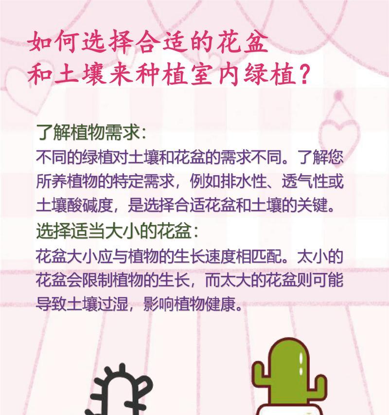 大花盆适合种植哪些植物？如何选择合适的植物？