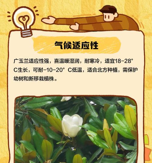 广玉兰什么时候种植？广玉兰种植的最佳季节是什么时候？