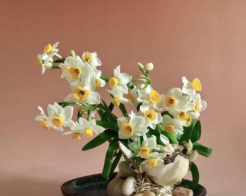 水仙花雕刻技巧有哪些？如何雕刻出美丽的水仙？