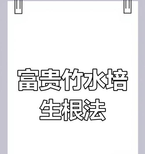 富贵竹生根的技巧有哪些？怎样促进富贵竹生根？