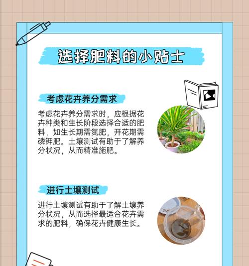 养花肥大了怎么办？如何处理过度施肥导致的问题？
