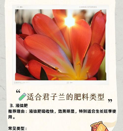 养花肥大了怎么办？如何处理过度施肥导致的问题？