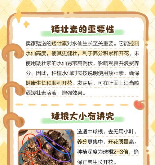 水仙花叶子过长的处理方法是什么？