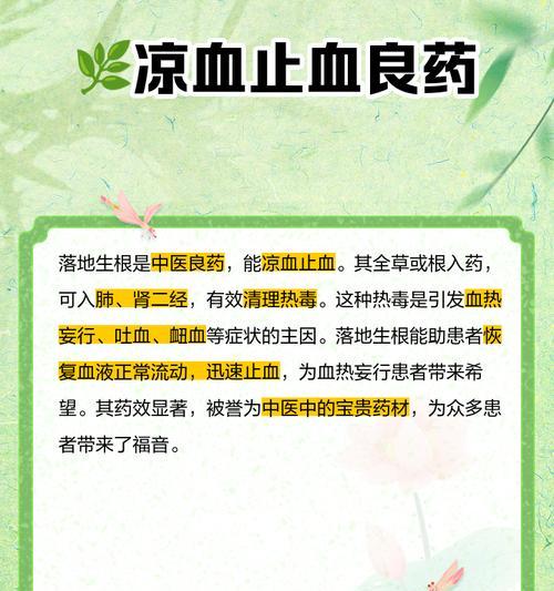 落地生根的用途是什么？落地生根对环境有何益处？