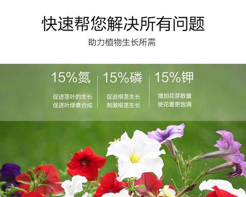 养花肥料使用技巧有哪些？