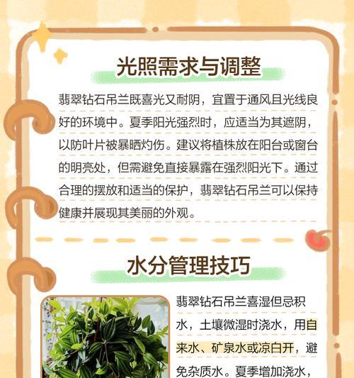 钻石花的养殖技巧是什么？