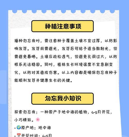 勿忘我品种的花语是什么？如何进行繁殖？