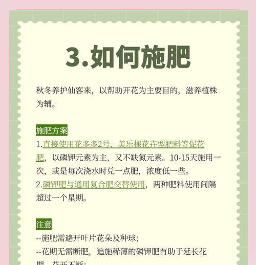 仙客来换土的最佳时机是什么时候？步骤是怎样的？