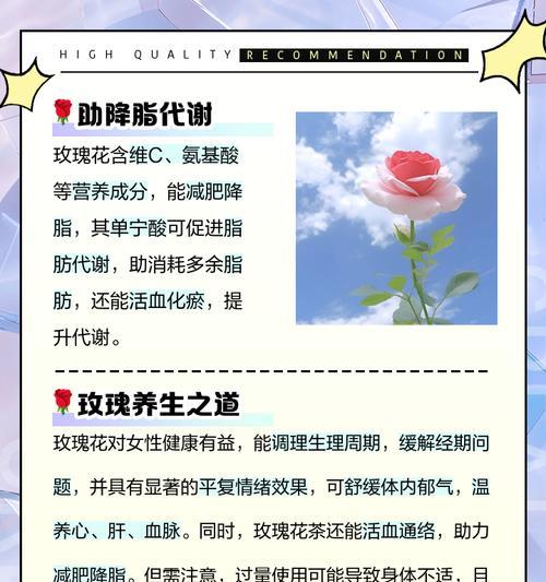 玫瑰种植需要注意哪些事项？