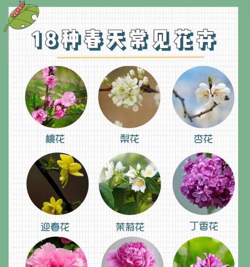 养植物花草有哪些常见问题及解决方法？