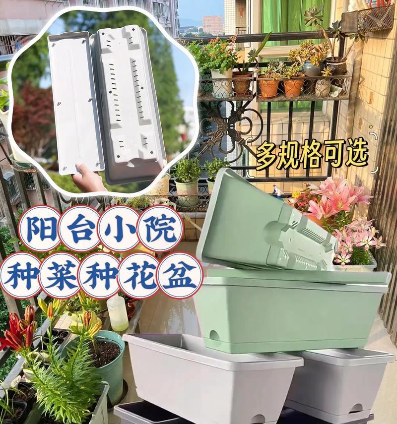 船花盆适合种植哪些类型的花卉？