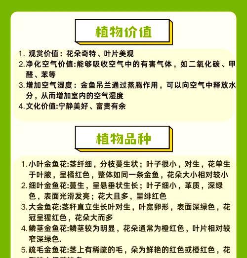 吊兰种植的步骤和技巧有哪些？