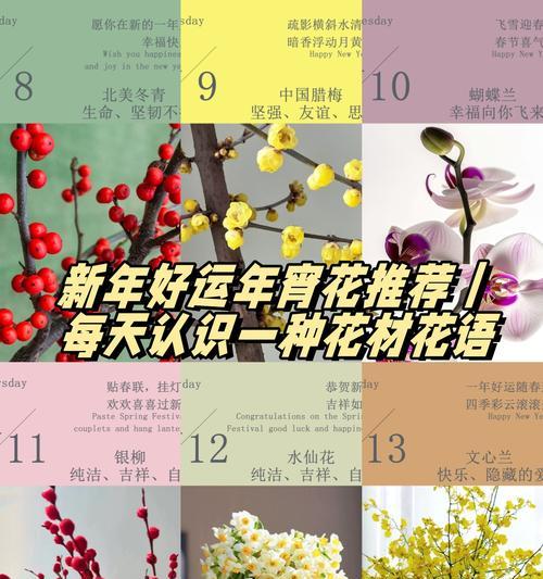 红稚莲砍头的最佳时机是什么时候？砍头后如何管理？