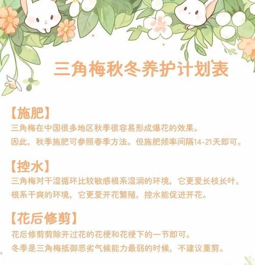 四季梅修剪的正确方法是什么？