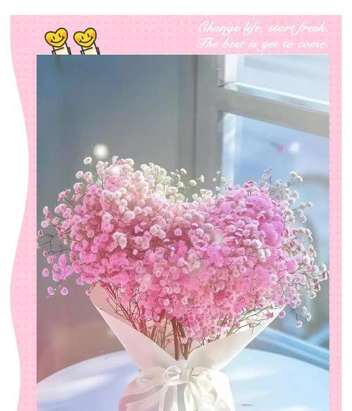 满天星种植的正确方法是什么？如何保证其繁茂生长？