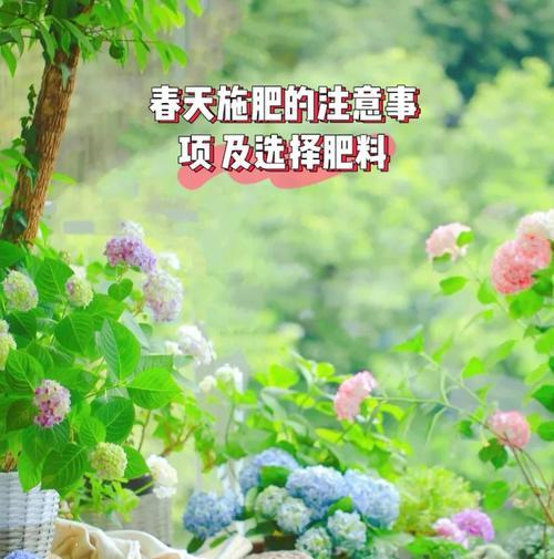 花卉施肥的最佳时间是什么时候？