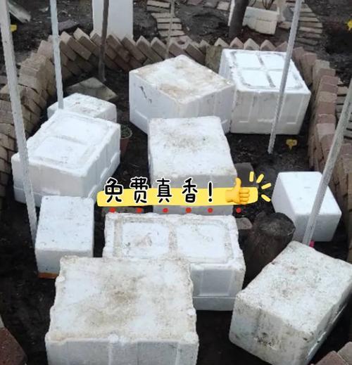 植物过冬的方式有哪些？如何帮助植物安全越冬？