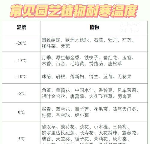 植物过冬的方式有哪些？如何帮助植物安全越冬？
