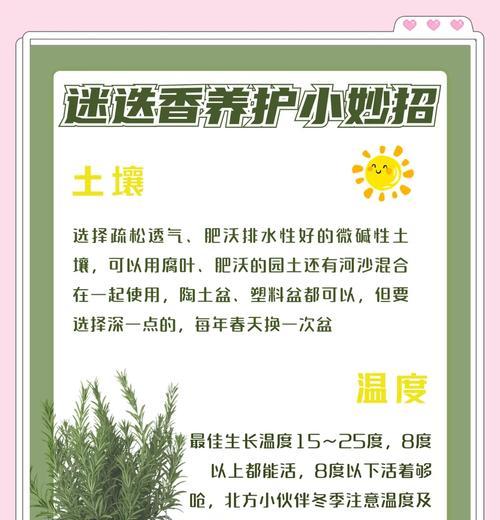 迷迭香修剪的最佳时机是什么时候？