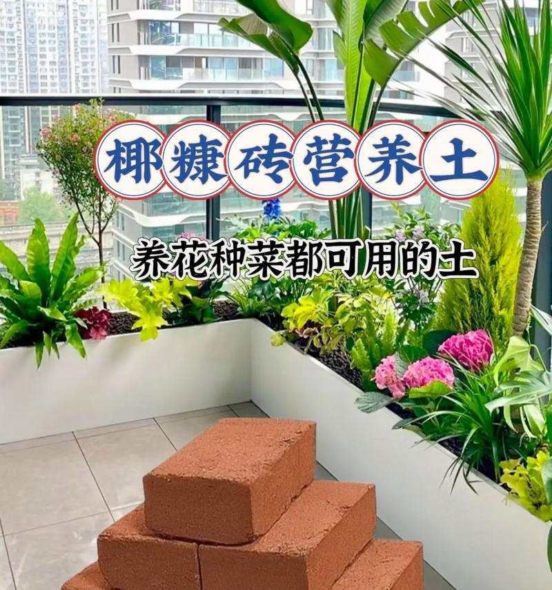 适合养花的土壤类型有哪些？