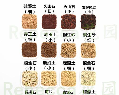 适合养花的土壤类型有哪些？