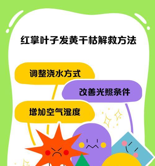 红掌叶子出现斑点是什么原因？如何处理？