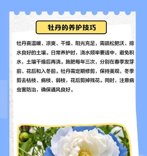 牡丹花的养护技巧有哪些？